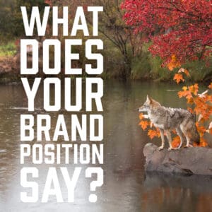 What does your brand position say