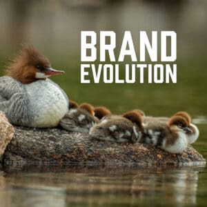 Brand Evolution