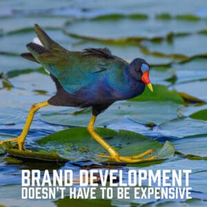 Brand Development Doesn't Have to be Expensive