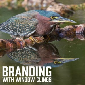 Branding with Window Clings