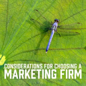 Considerations for Choosing a Marketing Firm