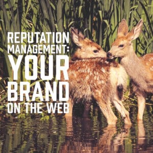 Reputation Management: Your Brand on the Web