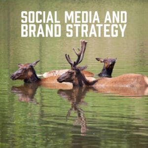 Social Media and Brand Strategy