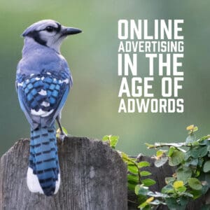 Online Advertising in the Age of Adwords