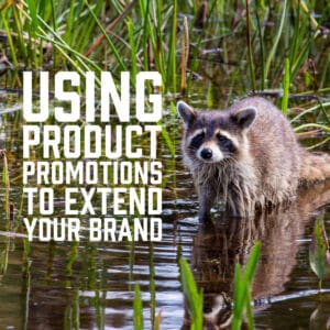 Using Product Promotions to Extend Your Brand