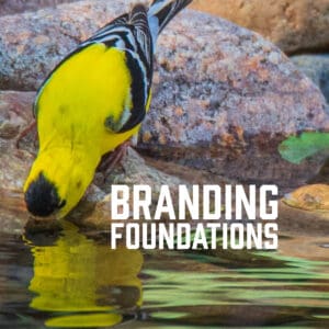 Branding Foundations