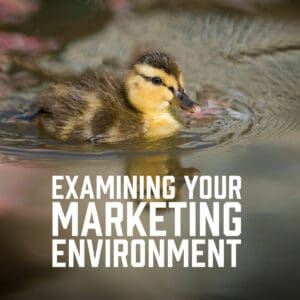 Examining Your Marketing Environment