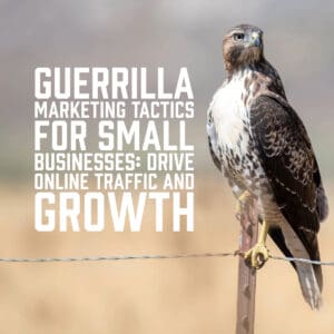 Guerrilla Marketing Tactics for Small Businesses: Drive Online Traffic and Growth