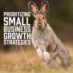 Prioritizing Small Business Growth Strategies