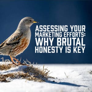 Assessing Your Marketing Efforts: Why Brutal Honesty is Key