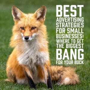 Best Advertising Strategies for Small Businesses