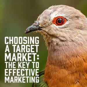 Choosing a Target Market: The Key to Effective Marketing