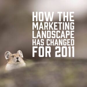 How the Marketing Landscape has Changed for 2011