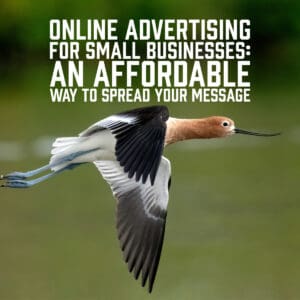 Online Advertising for Small Businesses: An Affordable Way to Spread Your Message