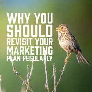 Why You Should Revisit Your Marketing Plan Regularly