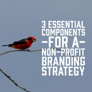 3 Essential Components for a Non-Profit Branding Strategy