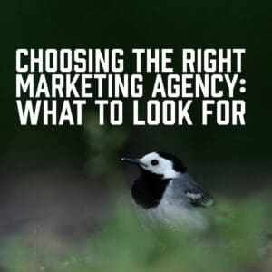 Choosing the Right Marketing Agency: What to Look For