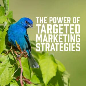 The Power of Targeted Marketing Strategies