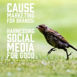 Cause Marketing for Brands: Harnessing Social Media for Good