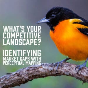 What's Your Competitive Landscape? Identifying Market Gaps with Perceptual Mapping