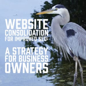 Website Consolidation for Improved SEO: A Strategy for Business Owners