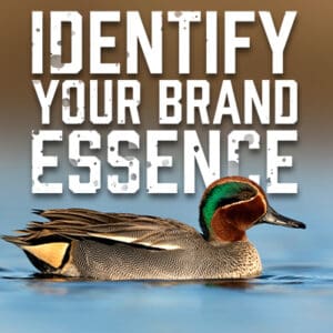 Identify Your Brand Essence