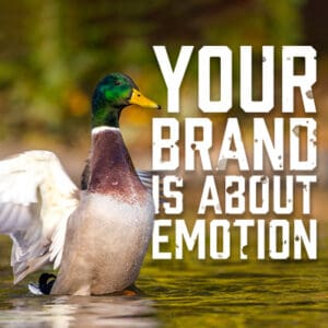 Your Brand is About Emotion