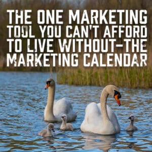 Marketing Calender