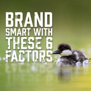 Brand Smart with These 6 Factors