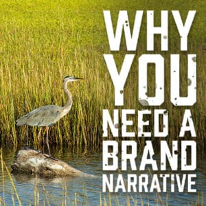 BrandNarrative