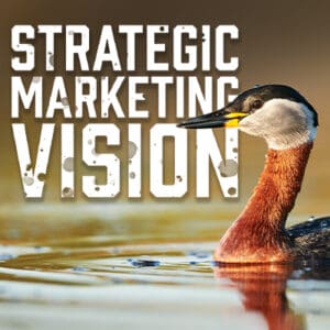 Strategic Marketing Vision