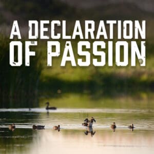 A Declaration of Passion