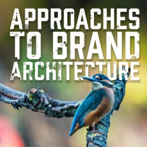 Approaches to Brand Architecture