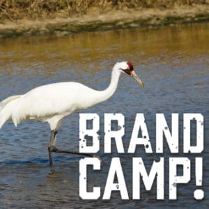 BRAND CAMP