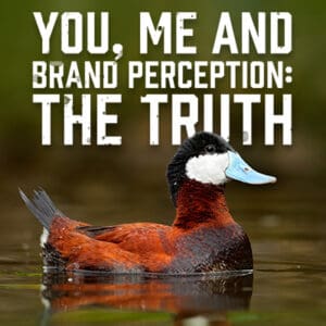 BrandPerception